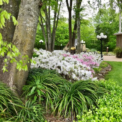 The Gardens at Miss Mary's Place